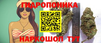 ПСИЛОЦИБИНОВЫЕ ГРИБЫ Мариинск