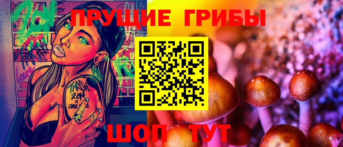 Псилоцибиновые грибы Psilocybine cubensis Десногорск
